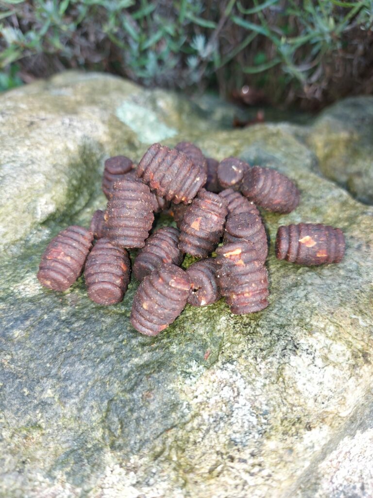 Boilies Grub